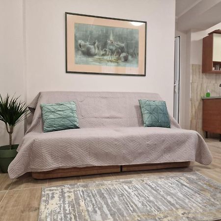 Laroka House Beautiful Apartment Universitate Center 布加勒斯特 外观 照片