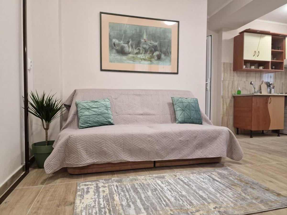 Laroka House Beautiful Apartment Universitate Center 布加勒斯特 外观 照片